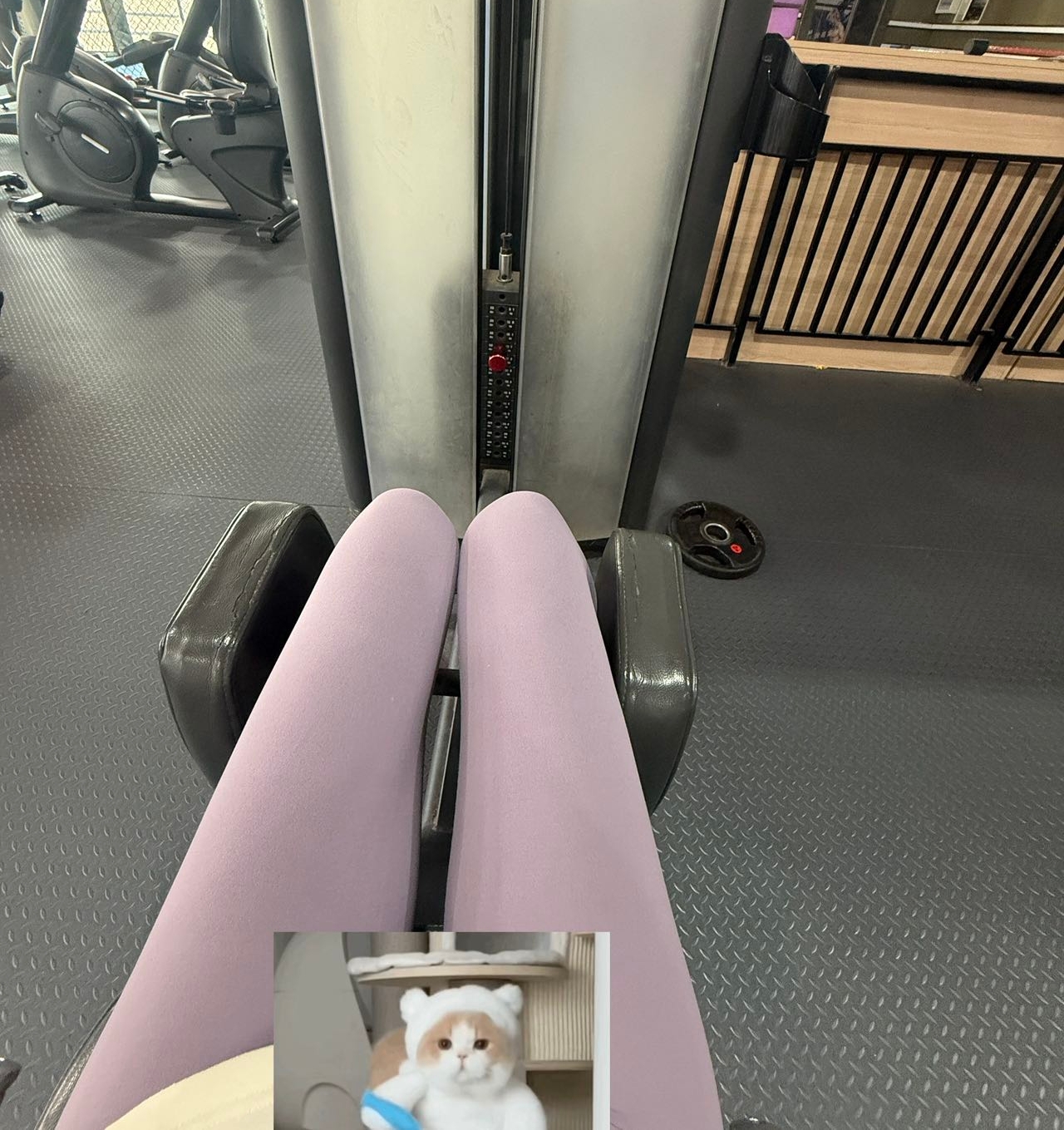 玛卡芭卡的照片